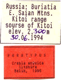 Paratype labels, color image