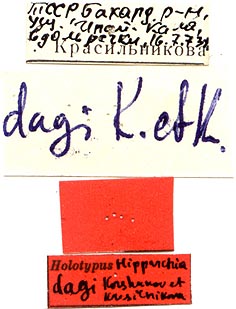 Holotype labels, color image