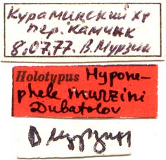 Holotype labels, color image