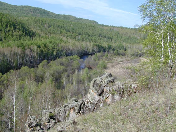 Biotope of Oeneis nanna