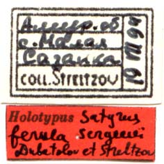 Holotype labels, color image